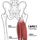 어베인휘트니스 이미지