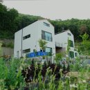 수니앤팬션 네이버블로그