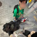 승준축산 이미지