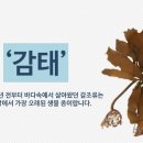 드림아이 태권도 이미지
