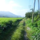 이기원 정려 이미지