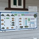 백운일출캠핑장 이미지