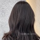 Artist서우