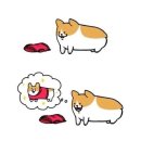 내사랑강아지