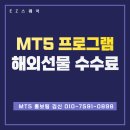 메타스퀘어글로벌 이미지