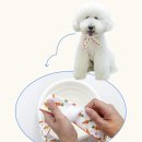 하임동물병원 이미지