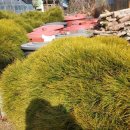 비아로45번길 이미지