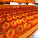 지리산곰실곶감농원 이미지