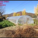 보통1리경로당 이미지