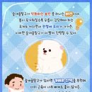 양·한방 전문 힘찬동물병원 이미지