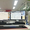 아 현실을 살아야겠다