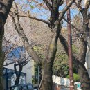 (주)파라다이스호텔 이미지