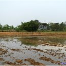 종천초등학교 이미지