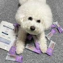 씨유덴탈 이미지