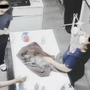 뿌리동물병원 이미지