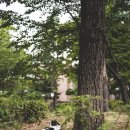 방아다리근린공원 이미지