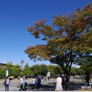 쪽빛 태양광발전소 네이버블로그