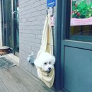 파리바게뜨검단2지구점