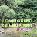 계곡과느티나무 캠핑장 | 아이랑 가기 최고의 계곡 캠핑장! 영월 느티나무캠핑장 계곡 사이트+타프존 2박 후기 &amp; 명당 꿀팁