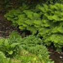 동부가든 이미지