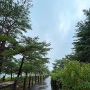 제7구경길 송지호둘레길 이미지