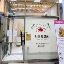 써니펫살롱 이미지