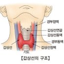 갑상선암 조기진단에 속아서 평생 고통 받는 환자들 이미지