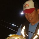 황쏘가리 이미지