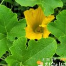 (주)지승
