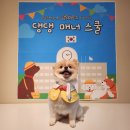 댕댕스쿨 | [전남형 청년공동체] 댕히어로스 ｜ 댕댕 매너스쿨 1, 2 ｜ 견생역전 프로젝트 활동 결과