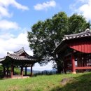 관란정觀瀾亭 이미지