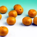 이랴이랴 이미지