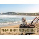 아름다운 펜션 | <양양 펜션 추천> 아름다운바다 애견동반 펜션 가성비+오션뷰+친절함 완비