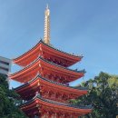 맑은 옷 이미지