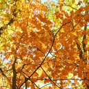 저녁 동안피부관리 이미지