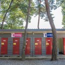 숲속의하모니 이미지