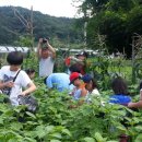 무내미체험마을 이미지