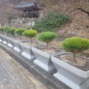 남하면 산포마을 일간뉴스경남