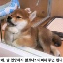 불당동물병원 이미지