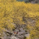 서정마을~서정저수지 이미지