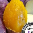 참좋은농산 - 부천시 오정구 성곡로 110 | 참좋은농산