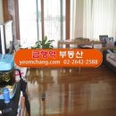 목동텃밭 이미지