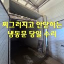 동문식품 - 사상구 | 찌그러져서 안닫히는 냉동문 당일 출장수리로 복원 후기