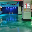 도리2천 이미지