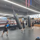 세기 복싱 체육관 이미지