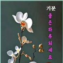 기분좋은하루