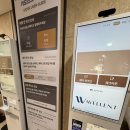 1619 | 내돈내산 죽도해변 가성비 웨이블런트 숙소 1619호 2박후기