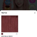 (주)오마이비타 | EP.11 [ 8월의 여름 (1) ]