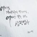 매일가든 이미지