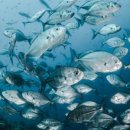 한국폴리텍 특성화대학 바이오캠퍼스 이미지